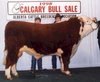 AGA 40Y Britisher 187F (11723 bytes)