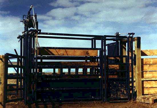 Side of Scissor Head Gate (31268 bytes)