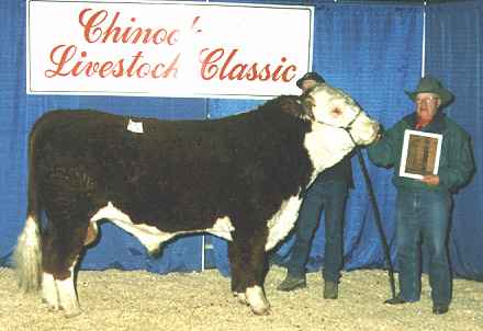 114L.jpg (16063 bytes)