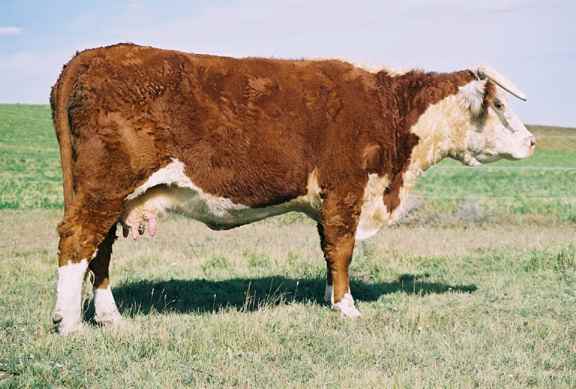 11J04.jpg (27888 bytes)