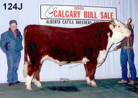 124jbrowarny.jpg (19039 bytes)