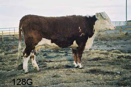 128g.jpg (17267 bytes)