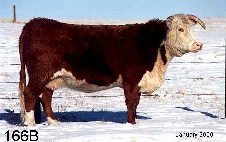 166b3.jpg (17177 bytes)