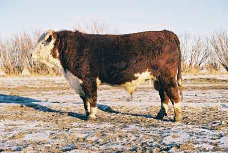 180k.jpg (22300 bytes)