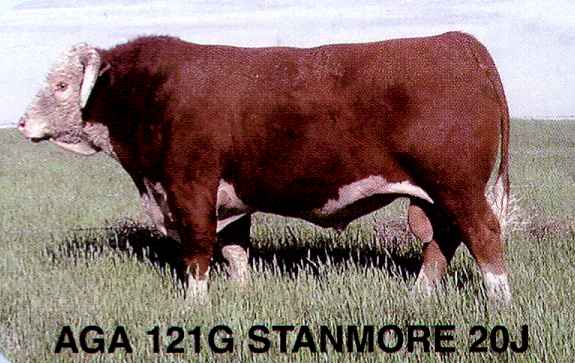 20j2002.jpg (31768 bytes)