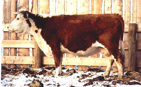 281a.jpg (34351 bytes)