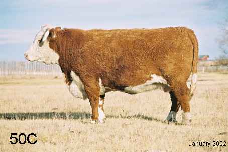 50c.jpg (15307 bytes)