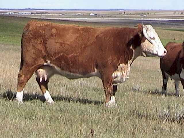 80G22.jpg (35054 bytes)