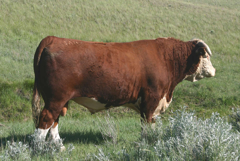 0827 Three Years Old