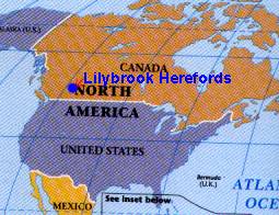 NAmap2.jpg (17028 bytes)